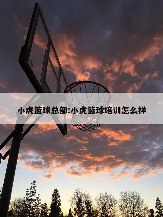 小虎篮球总部:小虎篮球培训怎么样